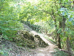 Ösvény
