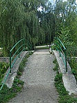 A rom felé