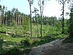 Irtás 1