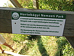 HNP