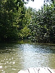 Egyre szűkülő Kis-Tisza