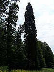 Ellenfényben