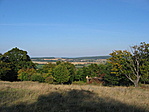 Látás