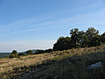 Látás