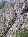 A steig alja