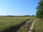 Út a gerincen