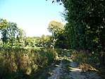 Sűrűsödik