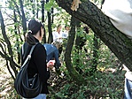 A második meglett