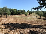 Szétszóródva
