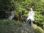 Kutya-orom