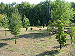 A park egy része