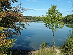 Holtvág