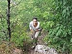 Sirel