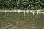 Palackposta