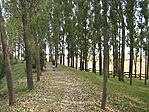 Keresgéltünk