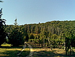 Arborétum