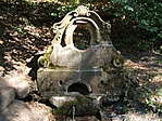 Forrás
