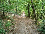 úton