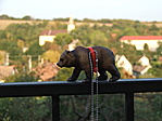 Smokey Bear