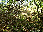 Közelebb