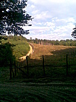 A láda közelében