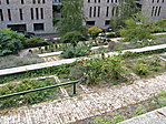 rózsakert