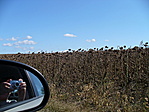 Visszafelé