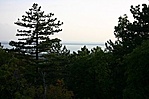 Kilátás 1