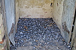 Guanó