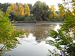 Holtág