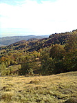Visszafelé 2.