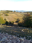 Visszafelé 4.
