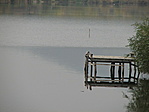 stég