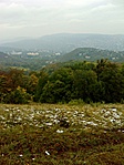 Normafa