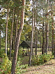 Piknikek helye