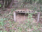 madáretető