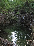 Patakmeder kis tóval és zúgóval