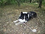Guba is feltalálta magát :)