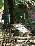 Shaolin edzőterem