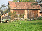 Farm