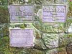 Szilágyi Bernát forrás