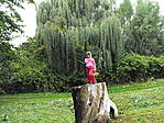 "Tóvég"