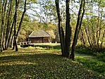Malom