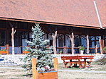 fatörzs tartóoszlopok