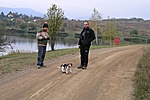 Máté, Tom & Sawyer