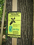 Érintetlen természet :(