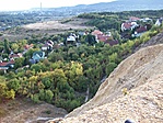 Táj