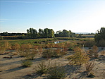 A tav