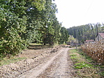 parkolóban