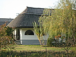kedvenc 1